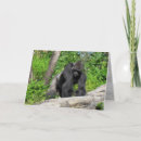 Search for gorilla cards Primate
