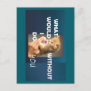 Search for love text postcards Blue