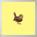 Search for wren posters Cute