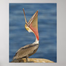 Search for wild side posters Outdoors