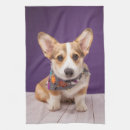 Search for halloween tea towels Pet