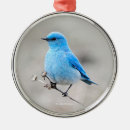 Search for bluebird decor Songbird