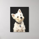 Search for collar canvas prints Animal
