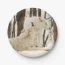 Search for arctic wolves Winter
