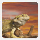 Search for body part stickers Wildlife