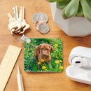 Search for pointer dog key rings Animal
