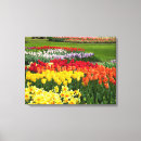Search for panel photography Nature