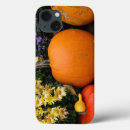 Search for vegetable cases Decorative