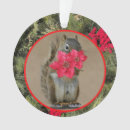 Search for canadian christmas tree decorations Red