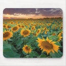 Search for cropping mousepads Landscape