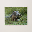 Search for hippopotamus puzzles Fauna