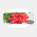 Search for red hibiscus flower stickers Tropical
