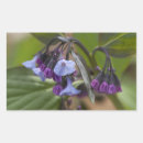 Search for bluebell flower stickers Nature