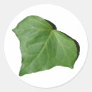 Search for ivy leaf stickers Green