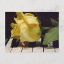 Search for melody postcards Flower