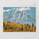 Search for aspen cards United states