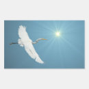 Search for egret stickers Bird
