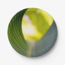 Search for banana leaf plates Nature