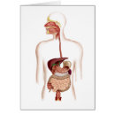 Search for gastrointestinal Medical