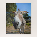 Search for donkey puzzles Fun