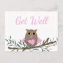 Search for get well soon owl Bird