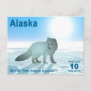 Search for arctic postcards Nature