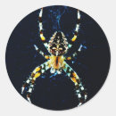 Search for weaver stickers Arachnid