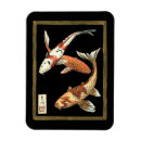 Search for koi magnets Fish