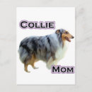 Search for herd dog postcards Collie