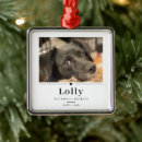 Search for elegant pet memorial ornaments In loving memory