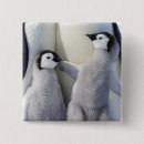 Search for emperor badges Penguin