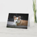 Search for corgi puppy cards Queen elizabeth's