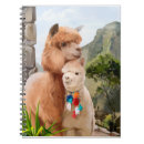Search for alpaca notebooks Animal