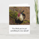 Search for about photo cards Photography
