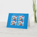 Search for lurcher cards Whippet