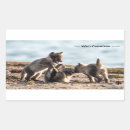 Search for arctic fox stickers Wildlife