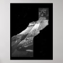Search for nemo posters Anime