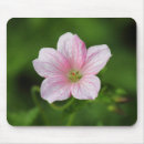 Search for geranium mousepads Plant