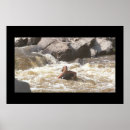 Search for ozarks Kayak