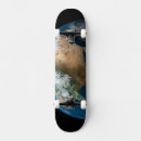 Search for simulation skateboards Earth