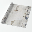 Search for birch wrapping paper Trunk