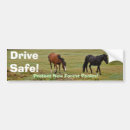 Search for pony bumper stickers Animals