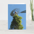 Search for windmill cards Photography