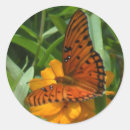 Search for orange bug stickers Butterflies