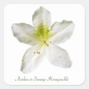 Search for azaleas stickers Botanical
