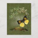 Search for butterfly garden postcards Leaves