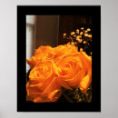 Search for yellow rose posters Roses