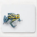Search for dangerous animals mousepads Looking at camera