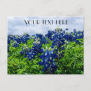 Search for texas bluebonnet postcards Texan