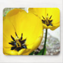 Search for spring tulips mousepads Yellow